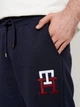 Шорты мужские Tommy Hilfiger 11047.4 S Темно-синие - изображение 4