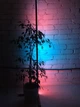 Кутовий Led торшер, лед лампа, лед нічник, RGB підсвічування, 1.5м сенсорний пульт управління - зображення 3