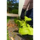Воздуходувка Ryobi RBV3000CSV, с дробителем (5133002188) - изображение 3