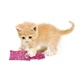 Іграшка KONG Kickeroo Kitten для кошенят з візерунком Фіолетовий - зображення 3