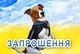 Пес Патрон - Набір Прикрас на 12 персон (132 елементів декора) - зображення 11