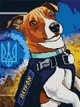 Набор алмазной мозаики Пес Патрон 40x30 см на подрамнике - изображение 2