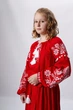 Платье Волинські візерункі для девочки длинное вышитое 134 р красного цвета - изображение 2