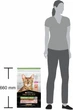 Сухой корм для кошек Purina Pro Plan Sterilised Senses с лососем 10 кг (7613036517164) - изображение 6