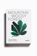 Чоловіча туалетна вода парфуми Mountain Woody Forest Zara 100 ML Іспанія - зображення 3
