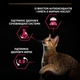Cухой корм Purina Pro Plan (Пурина Про План) Cat Sterilised Senses Duck & Liver для котов стерилизованых (утка) 0.4 кг - изображение 6