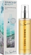 Интенсивно восстанавливающий спрей - Dr. Spiller Source Of Beauty Cool Down Intense Recovering Spray 100ml (927400-29782) - изображение 2