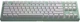 Клавіатура HATOR Skyfall TKL PRO Wireless (HTK-667) Mint [77140] - зображення 2