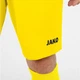 Шорты Jako MANCHESTER 2.0 C104 желтые XL 4400-03 - изображение 5