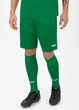 Шорты Jako MANCHESTER 2.0 C104 зеленые XL 4400-06 - изображение 2