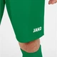 Шорты Jako MANCHESTER 2.0 C104 зеленые XL 4400-06 - изображение 5