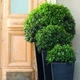 Горщик для рослин Keter Medium Rattan Planter 55,4 л 7290103659288 - изображение 3
