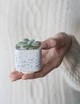 Керамічний горщик для кактусів Mini Plant розмір XS 5,2х5,1см Квадратний Білий в крапку - зображення 3