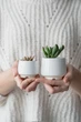 Керамический горшок для суккулентов Mini Plant маленького размера 6,3х6,4см Трапеция Белый - изображение 3