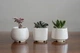 Керамический горшок для суккулентов Mini Plant маленького размера 6,3х6,4см Трапеция Белый - изображение 5