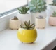 Керамический горшок для сукуклентов Mini Plant маленького размера 6,2х6,3см Круглый Яркий Желтый - изображение 1