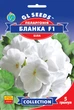 Пелларгония Бланка F1 семена (5 шт) герань калачики, Collection, TM GL Seeds - изображение 1