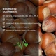 Орехи фундук сырой (в кожуре) 500 г натуральные Hazelnut N (Haz-Rus-r-500) - изображение 2