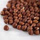 Орехи фундук сырой (в кожуре) 500 г натуральные Hazelnut N (Haz-Rus-r-500) - изображение 7
