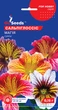 Сальпіглосіс Магія насіння (0,15 г), For Hobby, TM GL Seeds - зображення 1