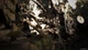 Resident Evil 7 Biohazard Gold Edition (PS4, русские субтитры) - изображение 2
