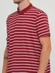 Футболка Cedarwood State 140320/28 2XL (774122XL) Бордовый - изображение 3