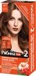 Тонирующая маска для волос Acme Color Рябина Ton oil mask №067 Капучино Duo Pack 60 мл (4823115500625) - изображение 1