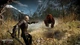 The Witcher 3 Wild Hunt Game of the Year Edition (PS4, русские субтитры) - изображение 3