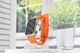 Смарт-часы Smart Watch GS Ultra 8 Orange, 49mm (swgsu8_or) - изображение 7