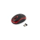 Мишка Esperanza Titanum TM116R - изображение 1