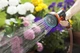 Пистолет-распылитель Gardena Premium многофункциональный 5-в-1 (18317-20.000.00) - изображение 6