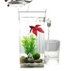 Акваріум з LED підсвічуванням самоочисний акриловий 2 л 25 см My Fun Fish - зображення 2