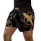 Шорты для тайского бокса Hayabusa Falcon Muay Thai Shorts Black (HFMTS-BK-S) - изображение 4