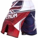 Шорты для ММА Venum UK Hero Fightshorts (V-5724-XS) - изображение 4