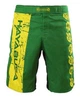 Шорты Hayabusa Instinct Fightshorts (Sh-Instinct-34) - изображение 1