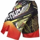 Шорты MMA Venum Lyoto Machida Tatsu King Fightshorts (V-015-S) - изображение 4