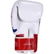Боксерские перчатки Fairtex BGV1 Thai Pride (BGV1T-14 oz) - изображение 3