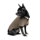 Pet Fashion Marco вишиванка для собак S - изображение 1