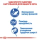 Сухий корм для котів Royal Canin Indoor 27 4 кг + Мінеральний наповнювач Catsan Гігієна Плюс 5 л - без аромату - изображение 5