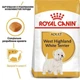 Сухой корм Royal Canin West Highland White Terrier для собак породы Вест-хайленд-уайт-терьер 0.5 кг (3182550751292) - изображение 2