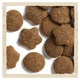Сухий корм DOG CHOW Large Breed Puppy для цуценят великих порід з індичкою 14 кг - зображення 4