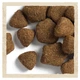 Сухий корм DOG CHOW Large Breed Adult 2+ для дорослих собак великих порід з індичкою 14 кг - изображение 4