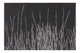Коврик сервировочный черный ARDESTO 30×45 см AR3309BK 1 шт - изображение 2