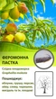 Феромонная ловушка Дельта на восточную плодожорку (Grapholita molesta) - изображение 1