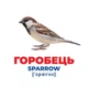 Карточки Домана Ranok Creative 10107193 E, Гений с пеленок. Птицы Украины (10107193-RT) - изображение 2