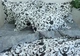Комплект постельного белья с компаньоном (R-T9255) Семейный TAG tekstil 000210655 - изображение 3