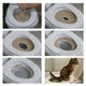 Система приучения кошек к унитазу Citi Kitty Cat Toilet Training - изображение 4