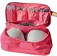 Дорожный органайзер ORGANIZE для белья Розовый (C001-pink) - изображение 1