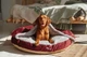 Лежак для Собак та Котів Haustier Lounge Bordo з капюшоном XS - діаметр 50см (B10-4-048) - зображення 4