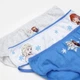 Набор детских трусов-слипов 3 шт для девочки Disney Frozen DIS FROZ 52 33 B116 3-PACK BOX 104-110 см Серый/Синий/Белый (5904009162415) - изображение 3
